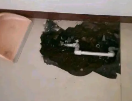 安阳卫生间测漏水多少钱